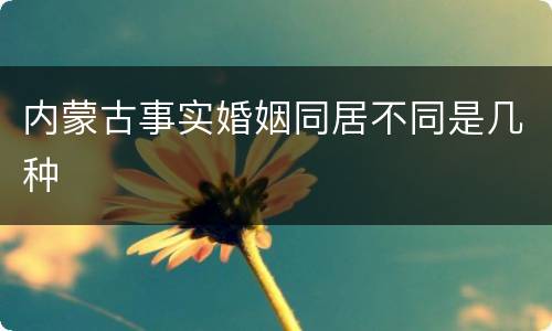 内蒙古事实婚姻同居不同是几种