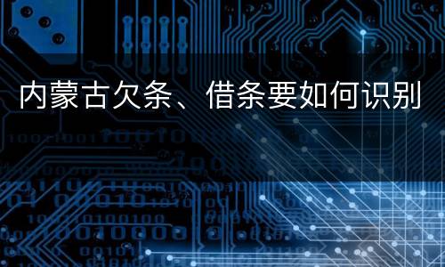 内蒙古欠条、借条要如何识别