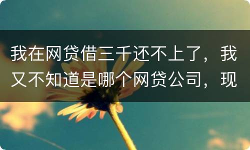 我在网贷借三千还不上了，我又不知道是哪个网贷公司，现在他们起诉我了，我会坐牢吗