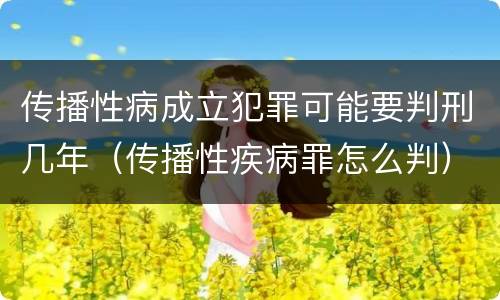 传播性病成立犯罪可能要判刑几年（传播性疾病罪怎么判）