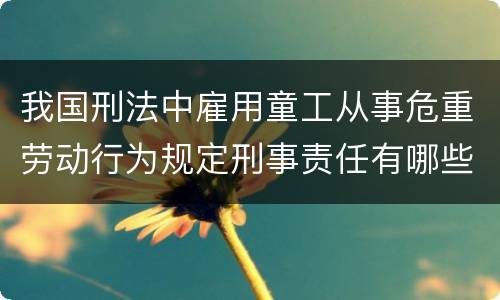 我国刑法中雇用童工从事危重劳动行为规定刑事责任有哪些