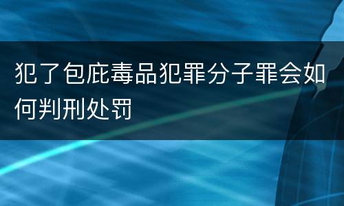 犯了包庇毒品犯罪分子罪会如何判刑处罚