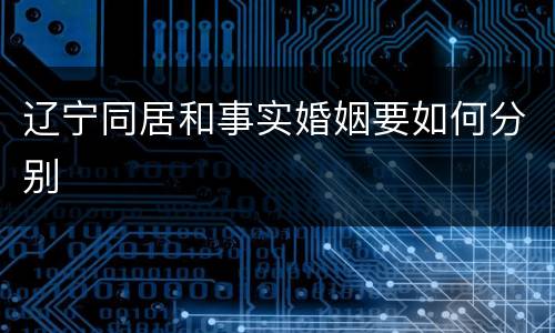 辽宁同居和事实婚姻要如何分别