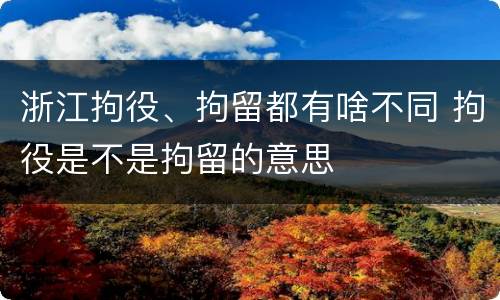 浙江拘役、拘留都有啥不同 拘役是不是拘留的意思