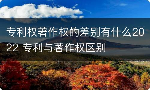 专利权著作权的差别有什么2022 专利与著作权区别