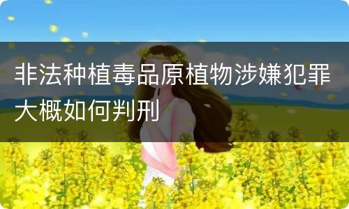 非法种植毒品原植物涉嫌犯罪大概如何判刑