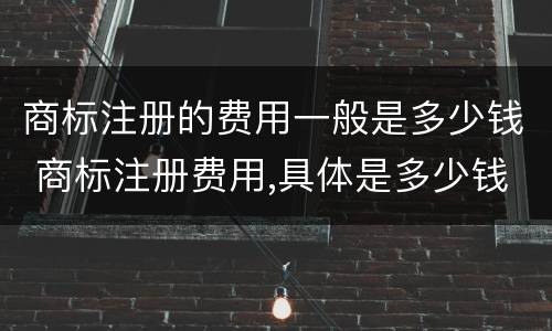 商标注册的费用一般是多少钱 商标注册费用,具体是多少钱