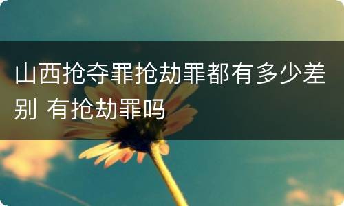 山西抢夺罪抢劫罪都有多少差别 有抢劫罪吗