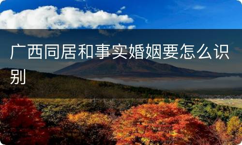 广西同居和事实婚姻要怎么识别