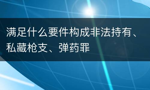 满足什么要件构成非法持有、私藏枪支、弹药罪