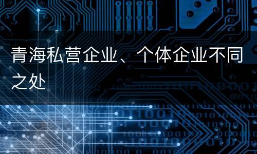 青海私营企业、个体企业不同之处