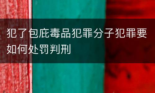 犯了包庇毒品犯罪分子犯罪要如何处罚判刑