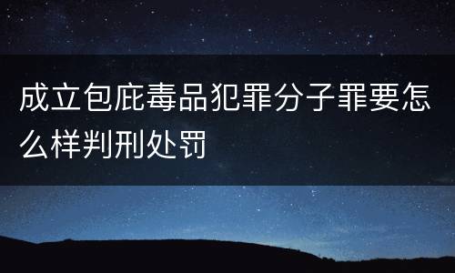 成立包庇毒品犯罪分子罪要怎么样判刑处罚