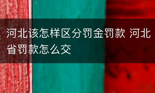 河北该怎样区分罚金罚款 河北省罚款怎么交