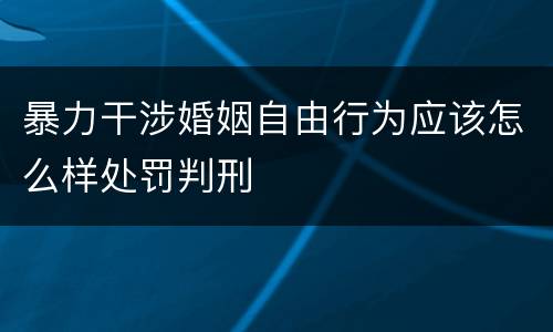 暴力干涉婚姻自由行为应该怎么样处罚判刑