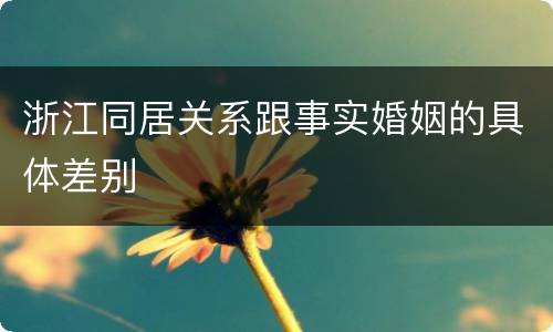 浙江同居关系跟事实婚姻的具体差别