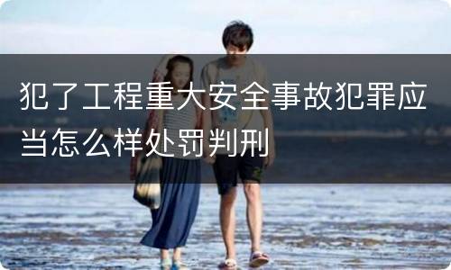 犯了工程重大安全事故犯罪应当怎么样处罚判刑