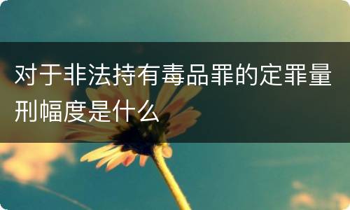 对于非法持有毒品罪的定罪量刑幅度是什么