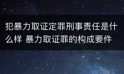 犯暴力取证定罪刑事责任是什么样 暴力取证罪的构成要件