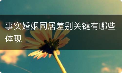 事实婚姻同居差别关键有哪些体现