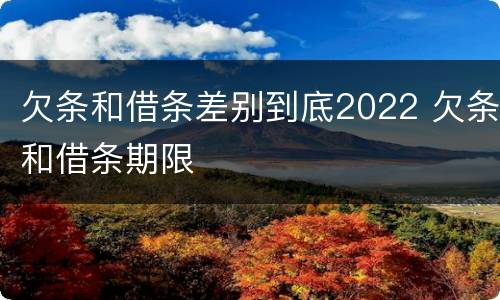 欠条和借条差别到底2022 欠条和借条期限