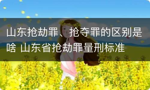 山东抢劫罪、抢夺罪的区别是啥 山东省抢劫罪量刑标准