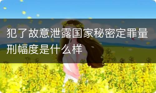 犯了故意泄露国家秘密定罪量刑幅度是什么样
