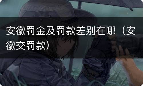 安徽罚金及罚款差别在哪（安徽交罚款）