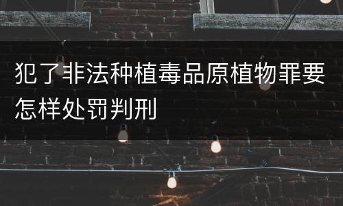 犯了非法种植毒品原植物罪要怎样处罚判刑