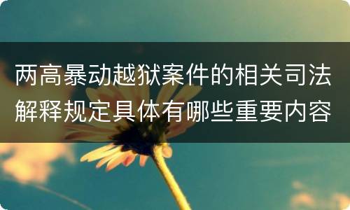 两高暴动越狱案件的相关司法解释规定具体有哪些重要内容