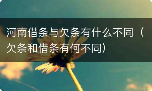 河南借条与欠条有什么不同（欠条和借条有何不同）