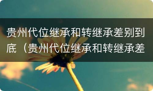 贵州代位继承和转继承差别到底（贵州代位继承和转继承差别到底是什么）