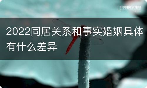 2022同居关系和事实婚姻具体有什么差异