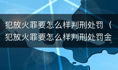 犯放火罪要怎么样判刑处罚（犯放火罪要怎么样判刑处罚金）