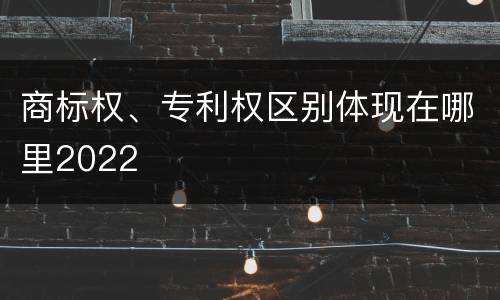 商标权、专利权区别体现在哪里2022