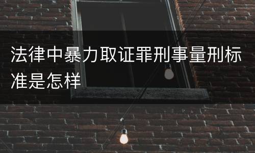 法律中暴力取证罪刑事量刑标准是怎样