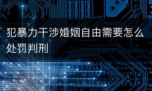 犯暴力干涉婚姻自由需要怎么处罚判刑