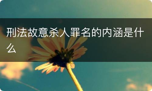 刑法故意杀人罪名的内涵是什么