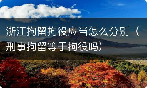 浙江拘留拘役应当怎么分别（刑事拘留等于拘役吗）