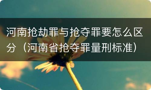 河南抢劫罪与抢夺罪要怎么区分（河南省抢夺罪量刑标准）