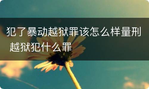 犯了暴动越狱罪该怎么样量刑 越狱犯什么罪