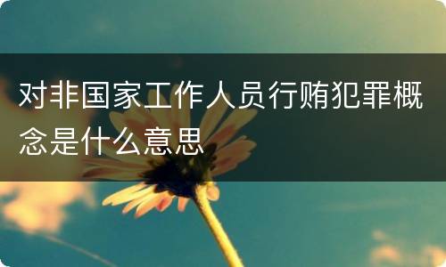 对非国家工作人员行贿犯罪概念是什么意思