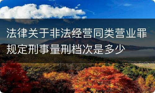 法律关于非法经营同类营业罪规定刑事量刑档次是多少