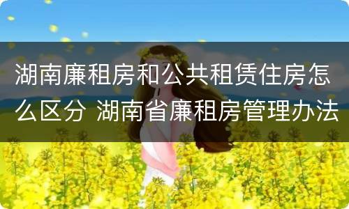 湖南廉租房和公共租赁住房怎么区分 湖南省廉租房管理办法