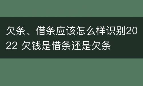 欠条、借条应该怎么样识别2022 欠钱是借条还是欠条
