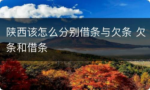 陕西该怎么分别借条与欠条 欠条和借条