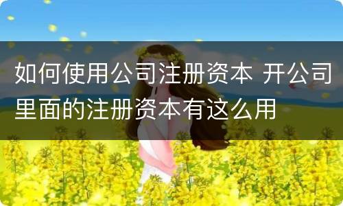 如何使用公司注册资本 开公司里面的注册资本有这么用