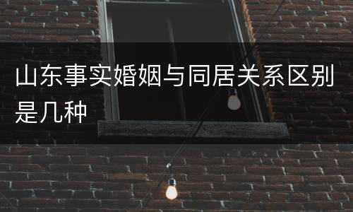 山东事实婚姻与同居关系区别是几种