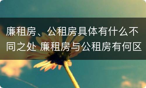廉租房、公租房具体有什么不同之处 廉租房与公租房有何区别