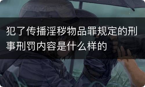 犯了传播淫秽物品罪规定的刑事刑罚内容是什么样的